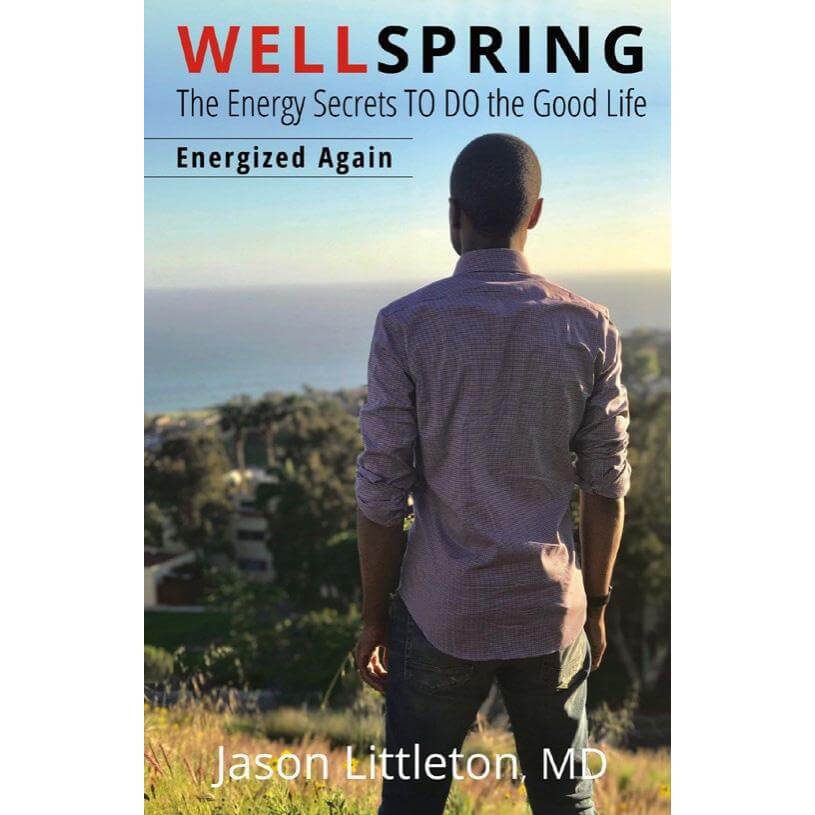 WELLSPRING- ENERGIZED AGAIN, 2ND EDITION (Paper back) $19.97